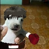 Charly (Charles-Iván)