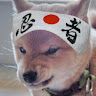 Sensei Doggo