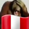 PepitoInsanito 777