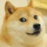 Its_Doge bro