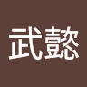 武懿大大