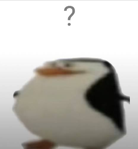 喵喵喵