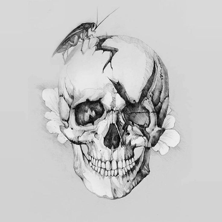 Rock And Metal