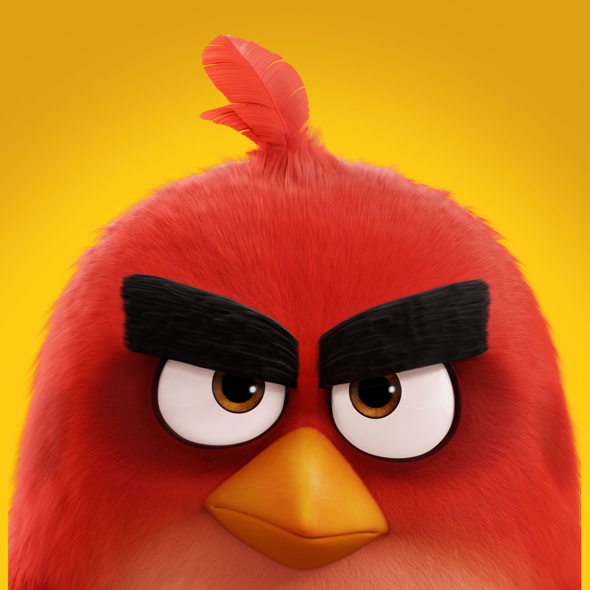 Angry