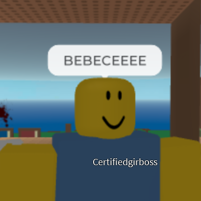 Noobs