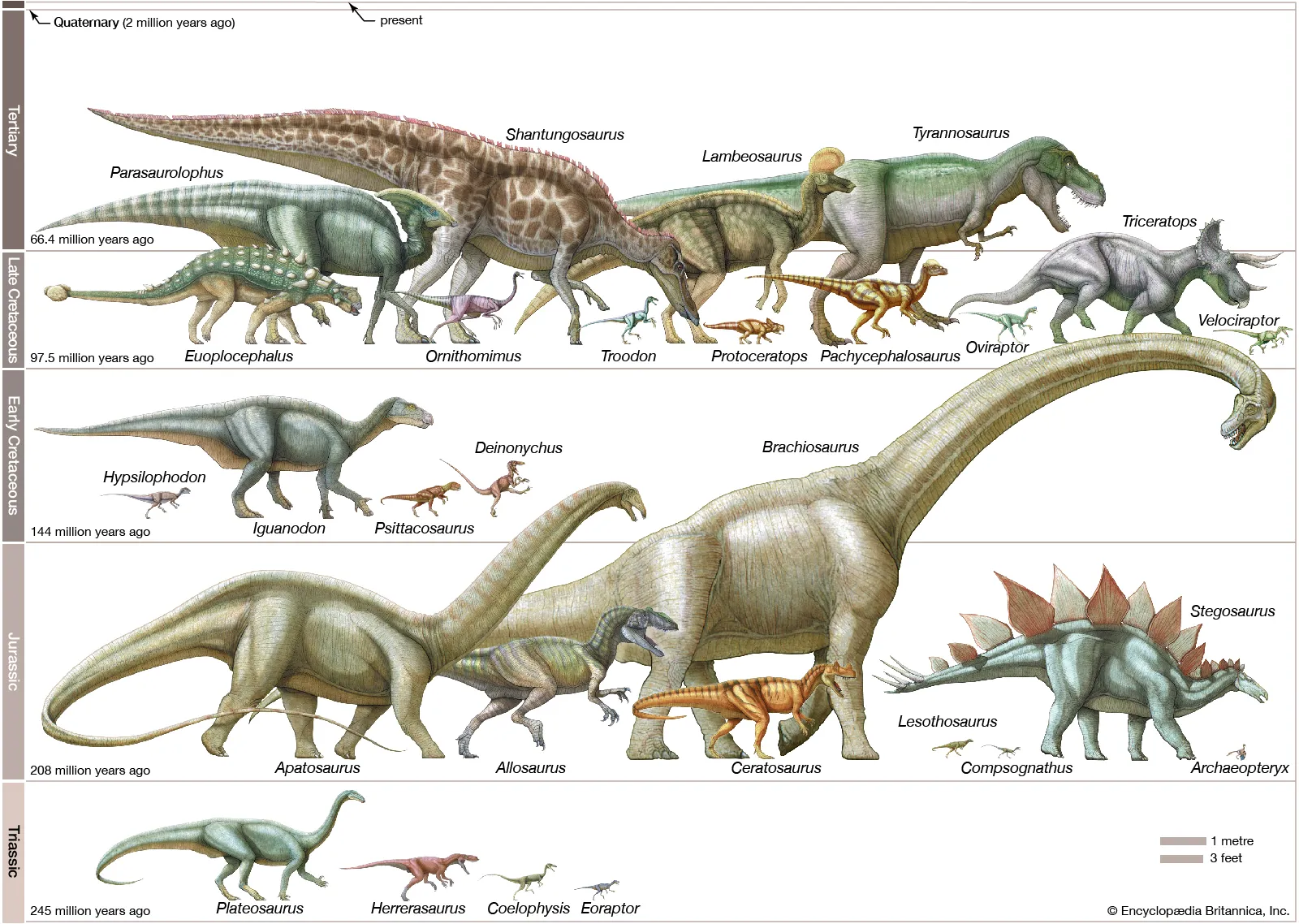 Dinosaurs