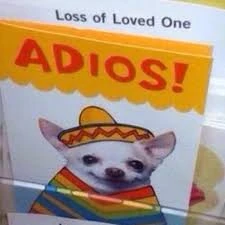 H0ly's Post Anything Here Community