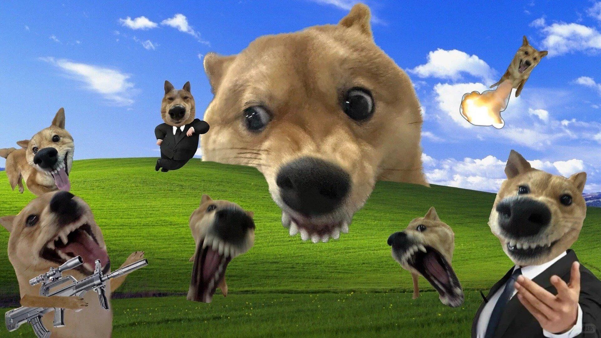 01