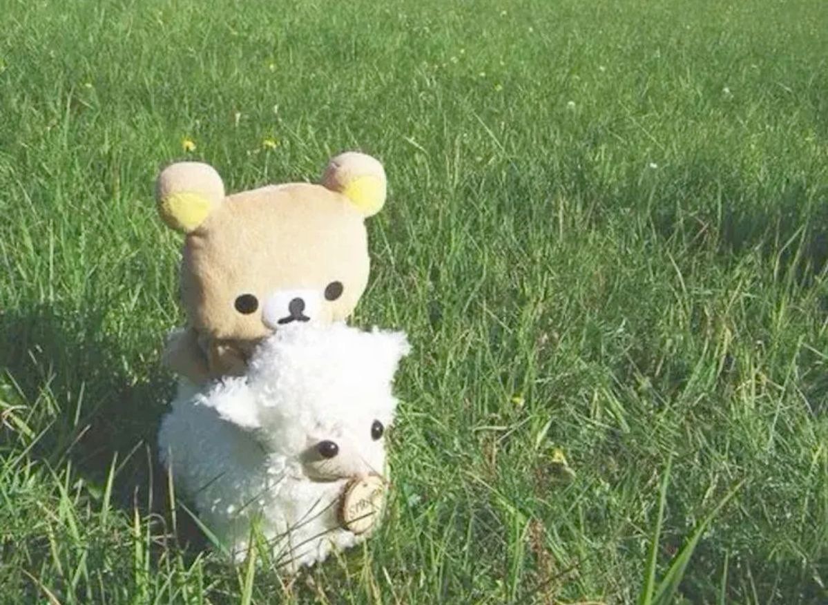 ˚✧₊⁎❝᷀ົཽ≀ˍ̮ ❝᷀ົཽ⁎⁺˳✧༚