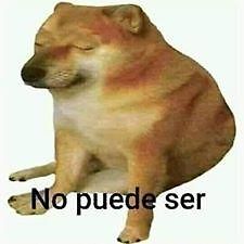 favoritos