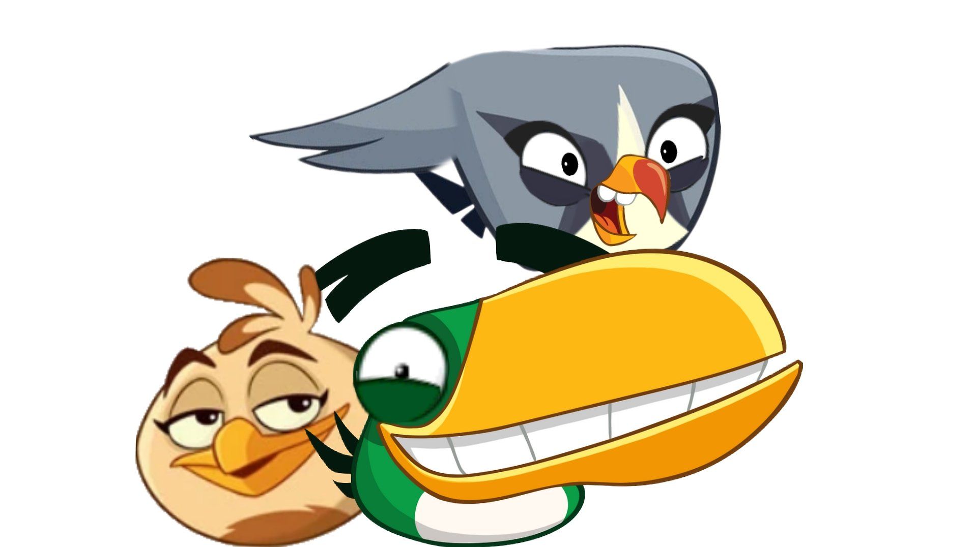 My favorite birds