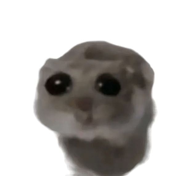Amo