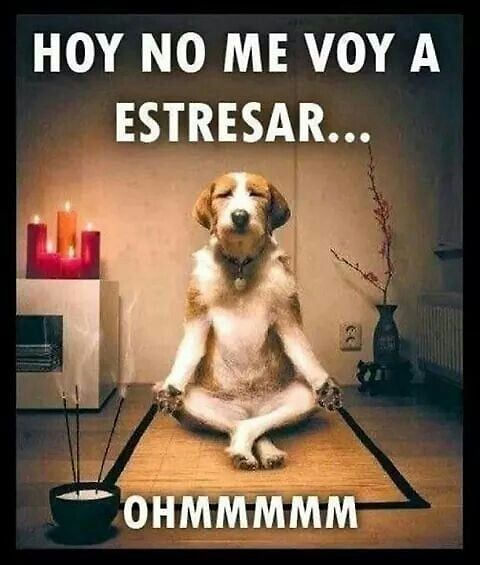 HPPPP