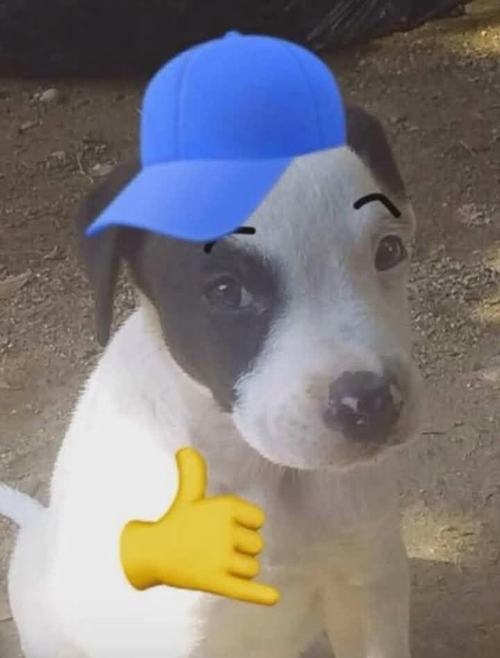 Aaaa