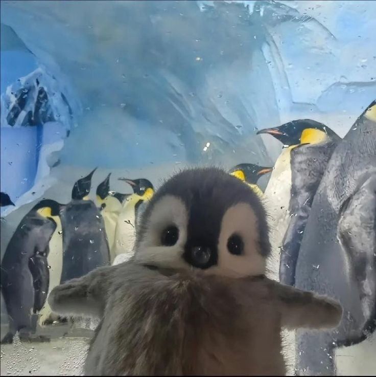 а