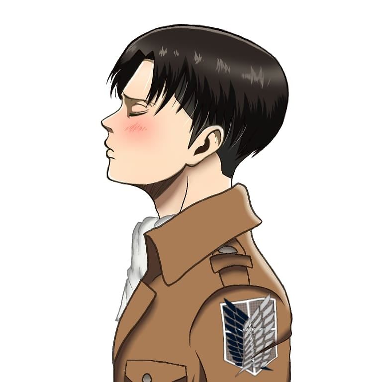 LEVI