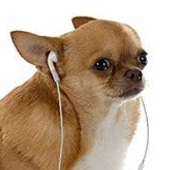 Voice for My OCs