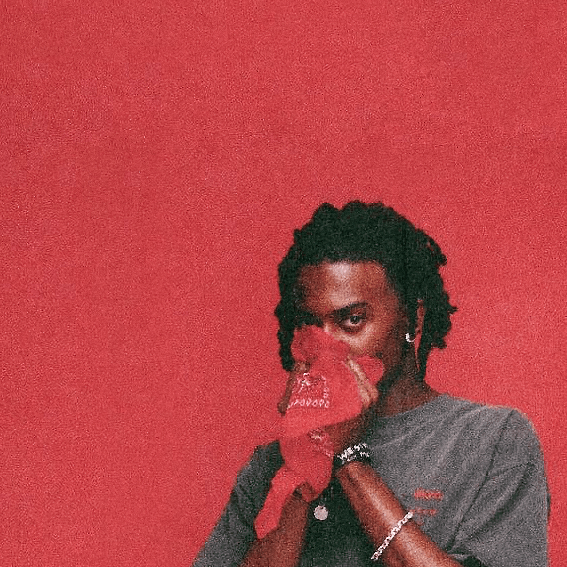 Playboi Carti WLR era/chill voice