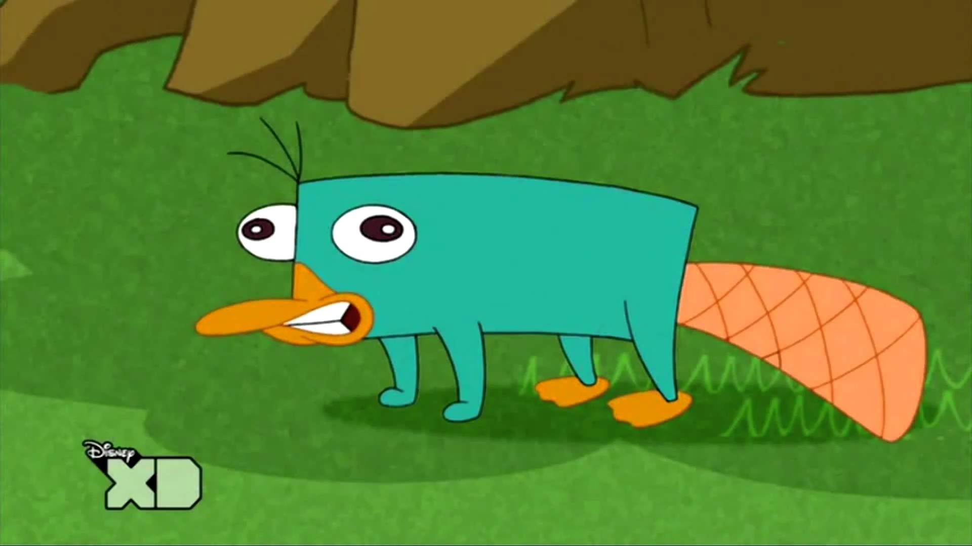 Perry The Platypus (Phineas and Ferb)