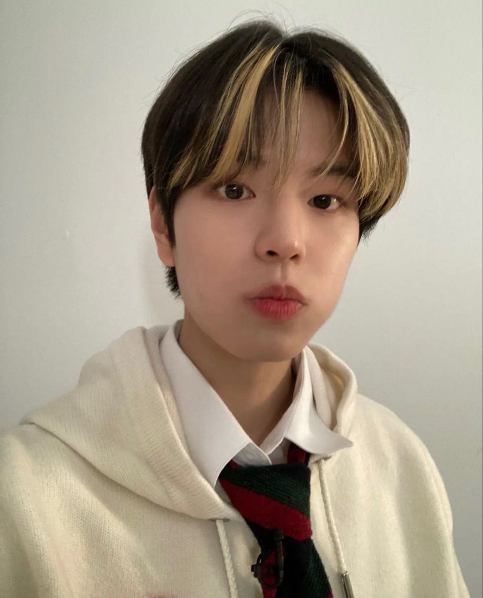 Seungmin (From Stray Kids)