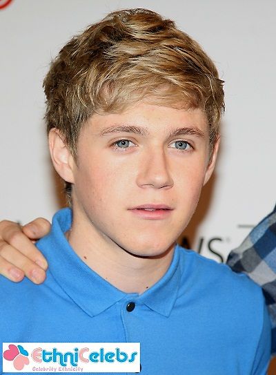 1D Up All Night era Niall Horan