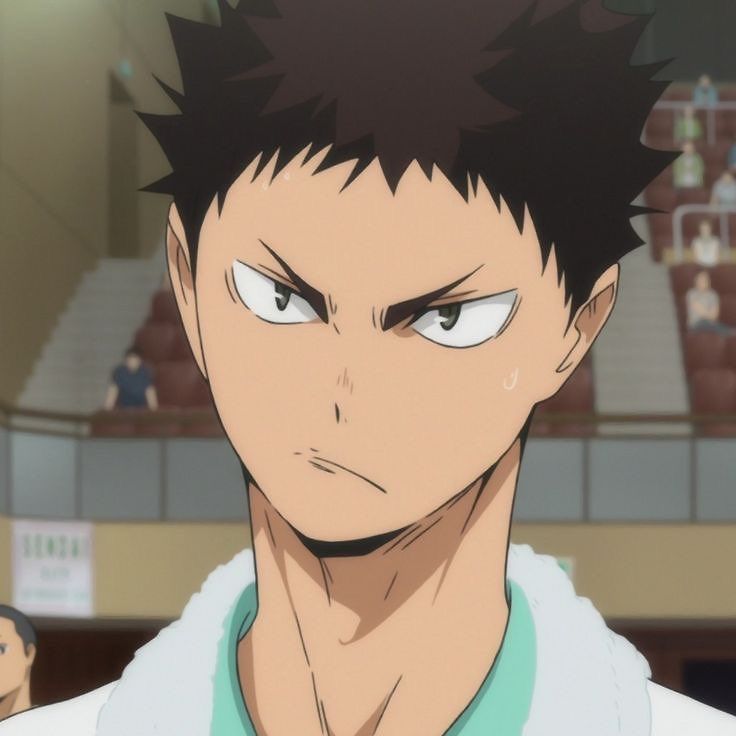 Iwaizumi Hajime (Haikyu!!)