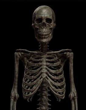 SCP 3114 (SCP: Secret Laboratory)
