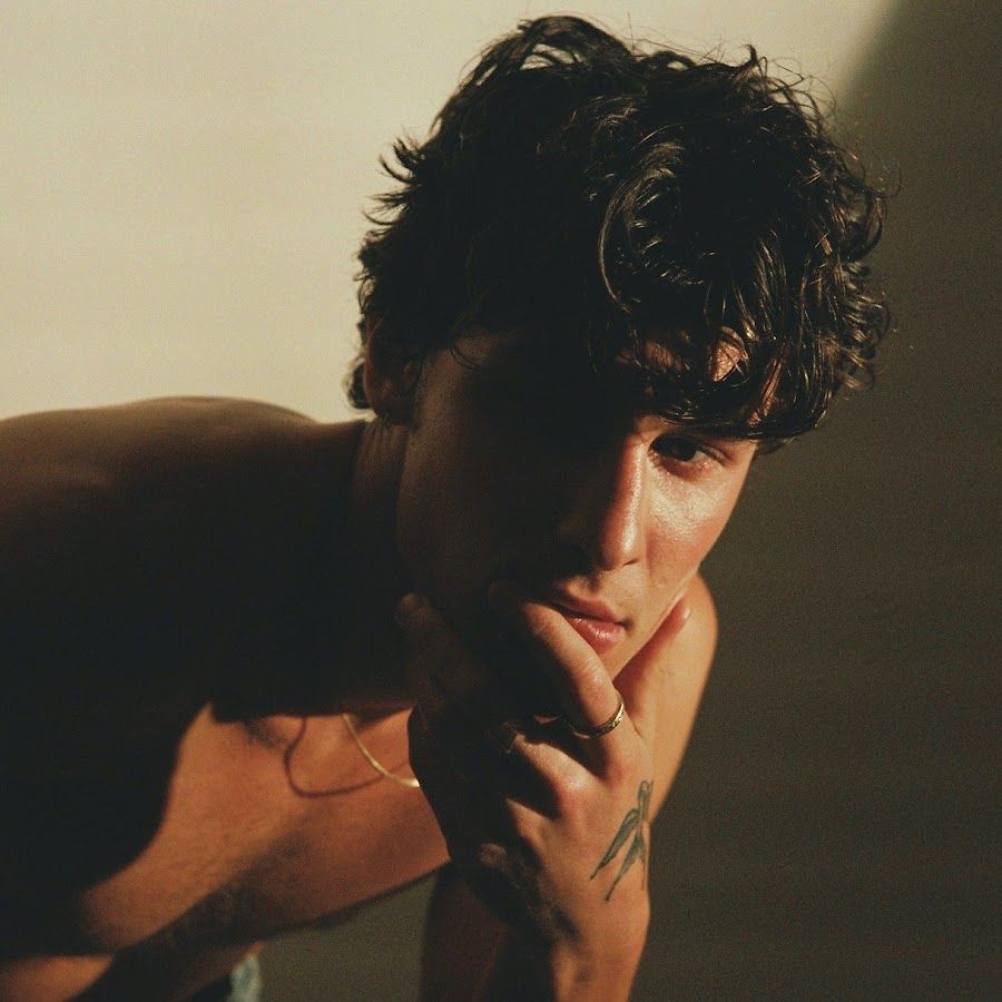 Shawn Mendes