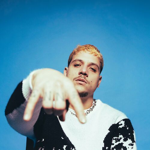 Plk