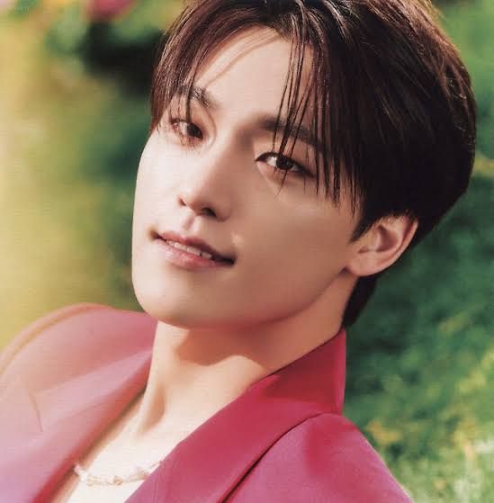 Dino (Seventeen)