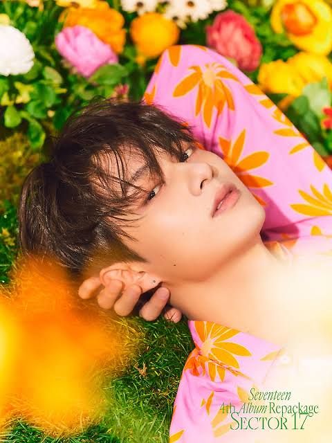 Jun (Seventeen)