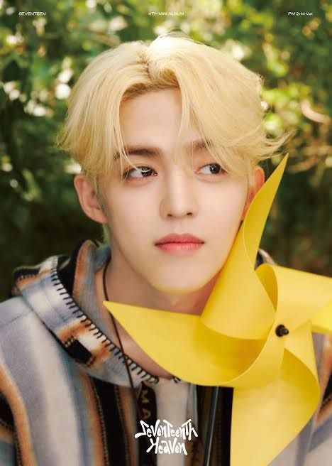 Scoups (Seventeen)