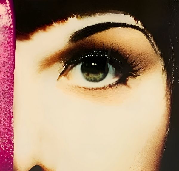 Ann Wilson (Desire Walks On Era)