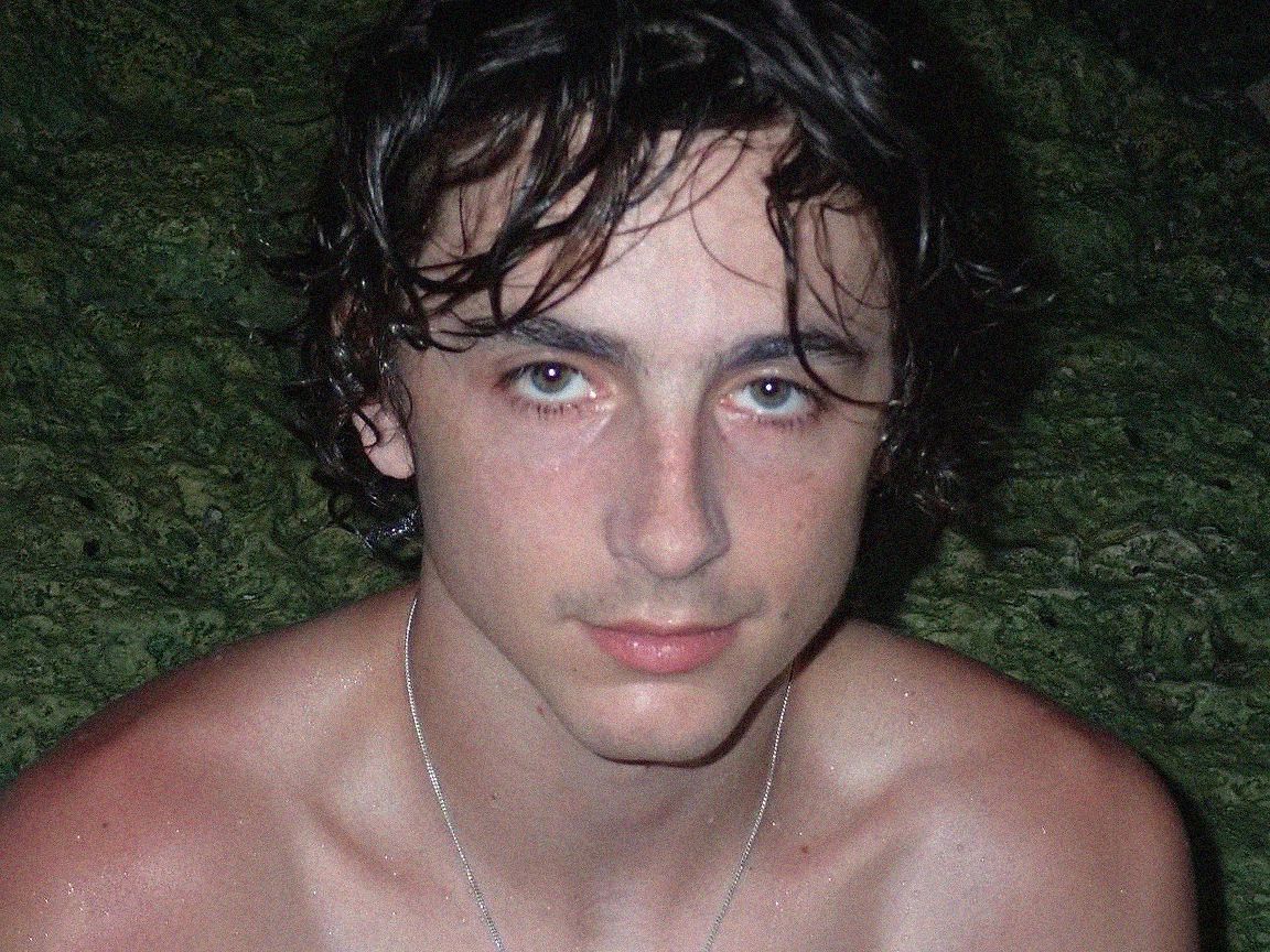 Timothee Chalamet