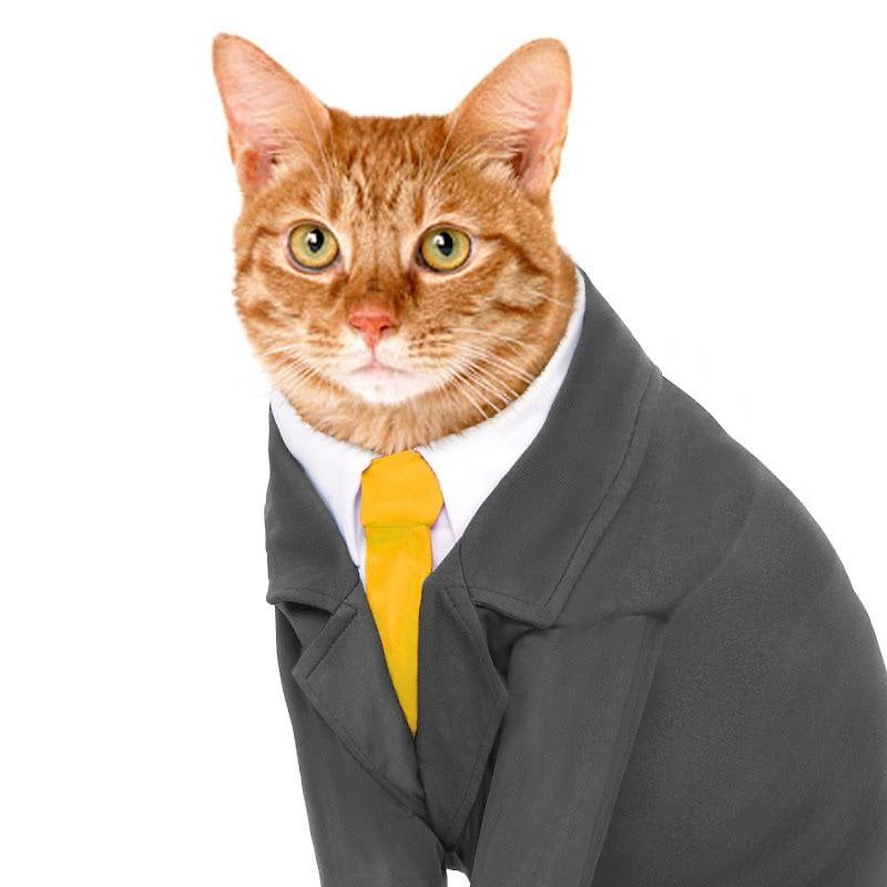 PWGood