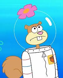 Sandy Bochechas PT BR