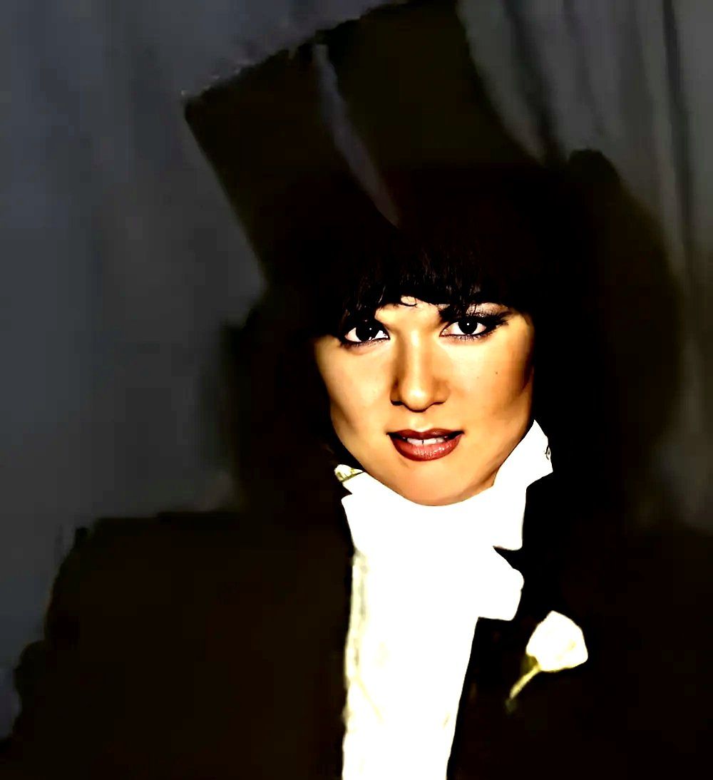 Ann Wilson (Private Audition Era)