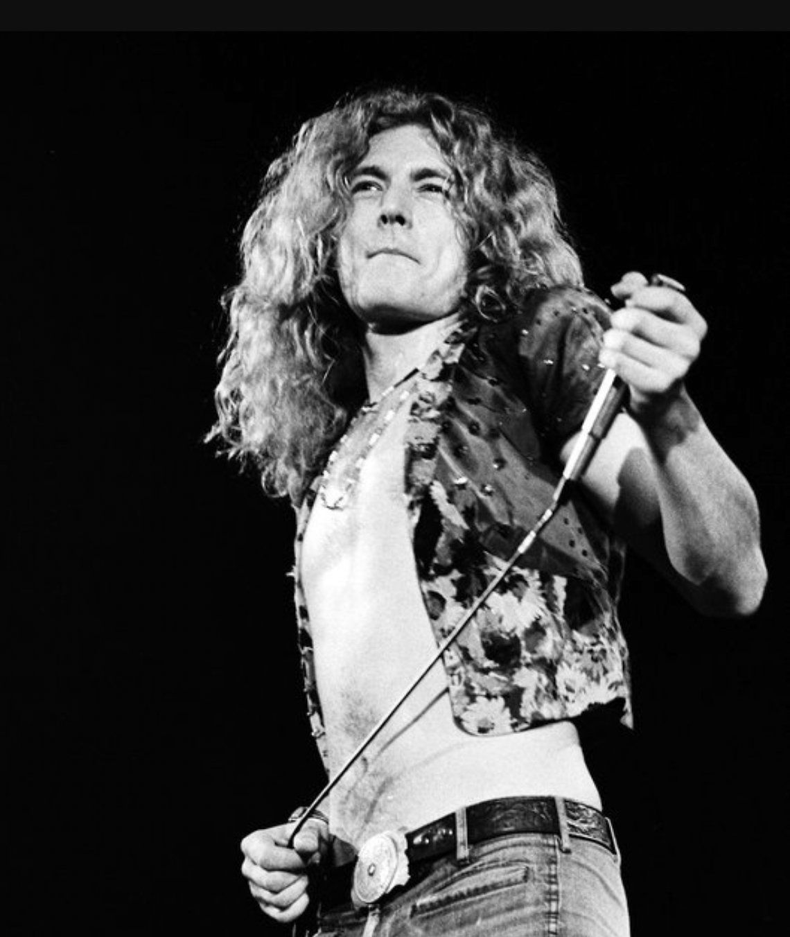 Robert Plant