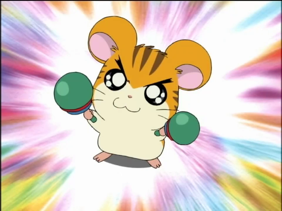 Hamtaro - Stan