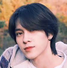 WayV Hendery