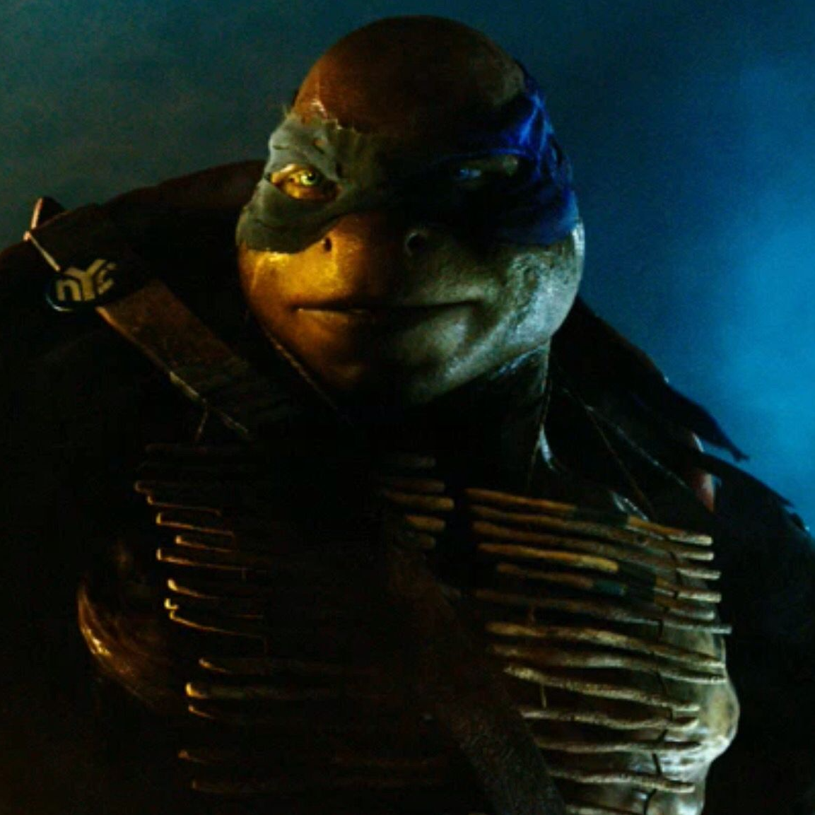 Leonardo (Johnny Knoxville) [TMNT 2014]