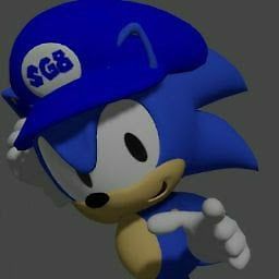 SG8 the Hedgehog