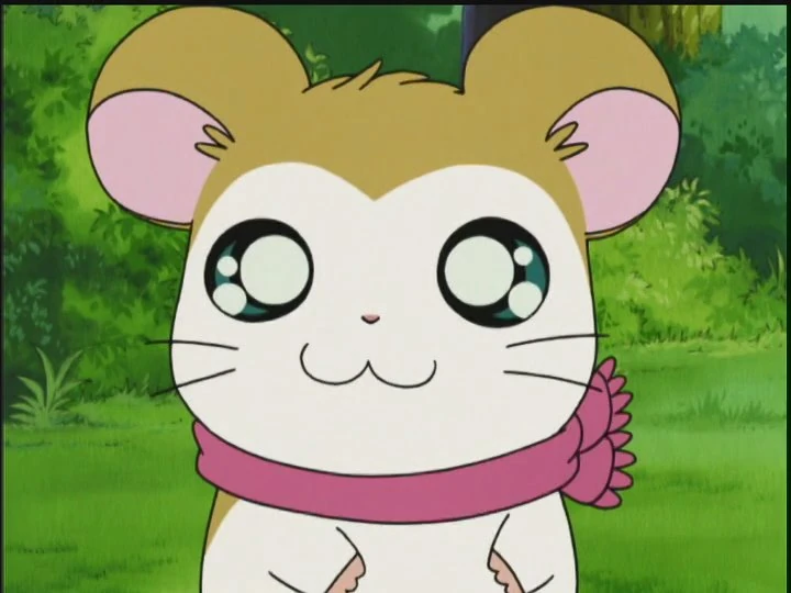 Hamtaro - Pashmina