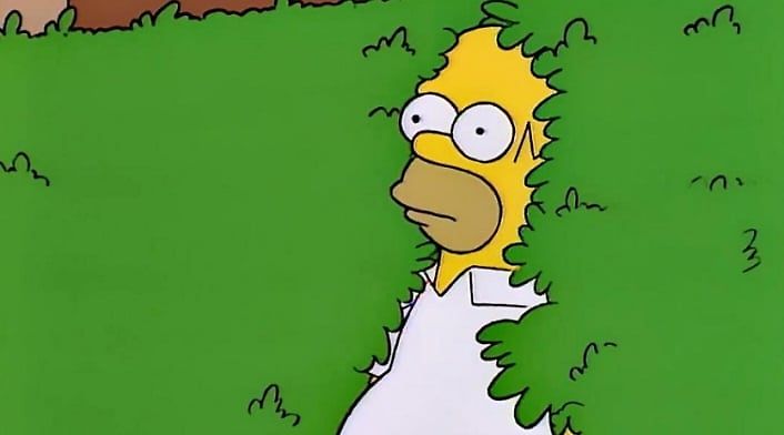 Homero Simpson