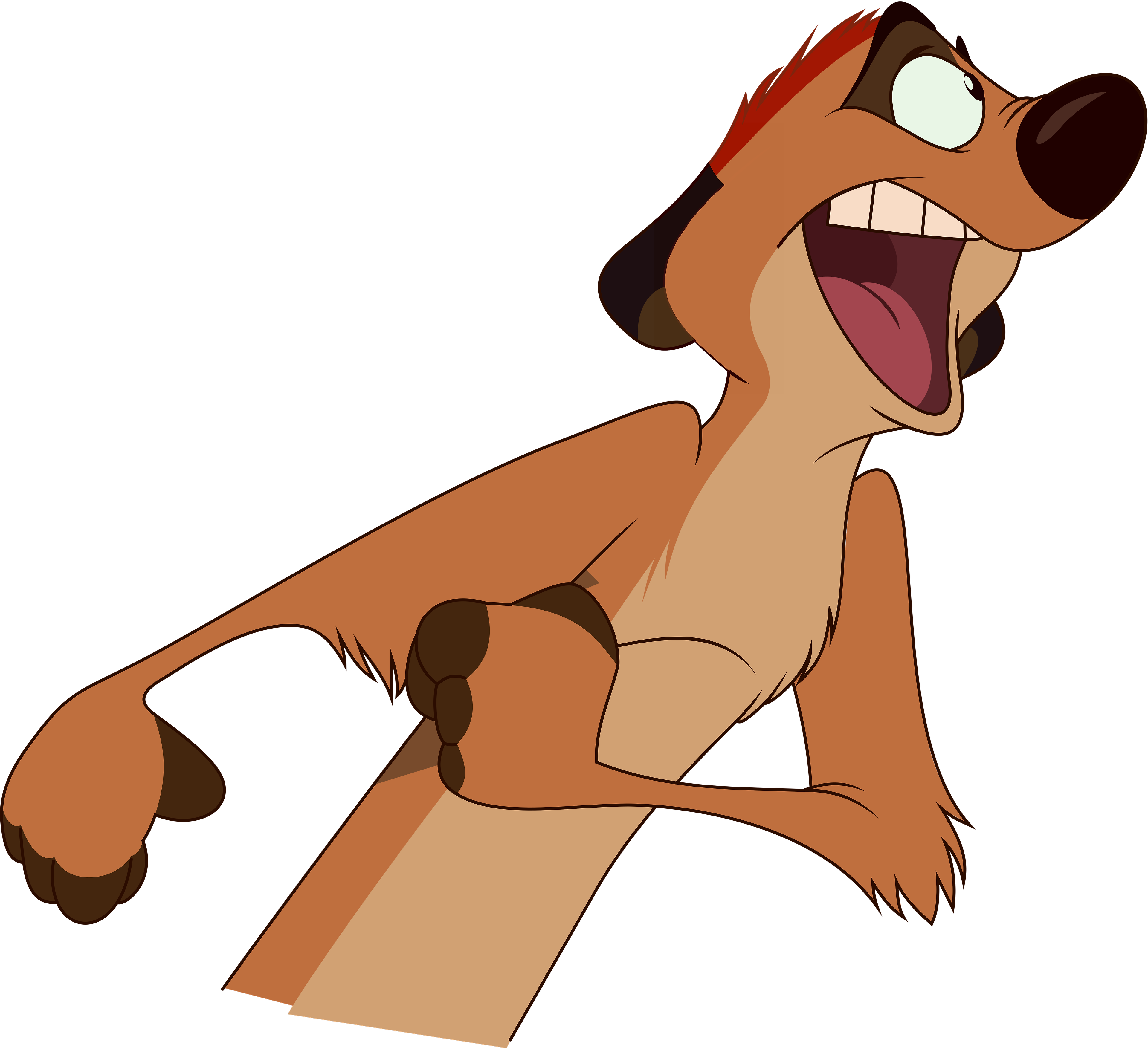 Timón (Español Latino) (VA: Raúl Aldana)
