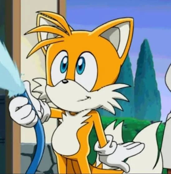 Tails (Sonic x) (season 1/2) (spanish latín)