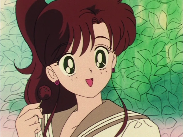 Makoto Kino / Sailor Jupiter (Sailor Moon) (Viz Media Dub)