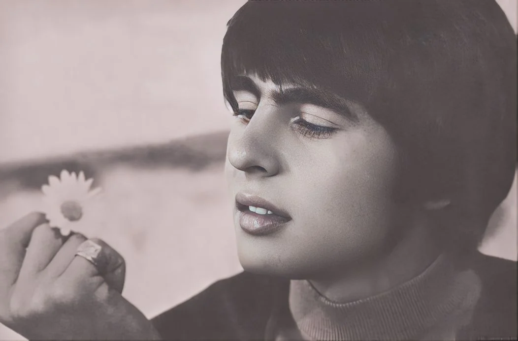 Davy Jones Monkees