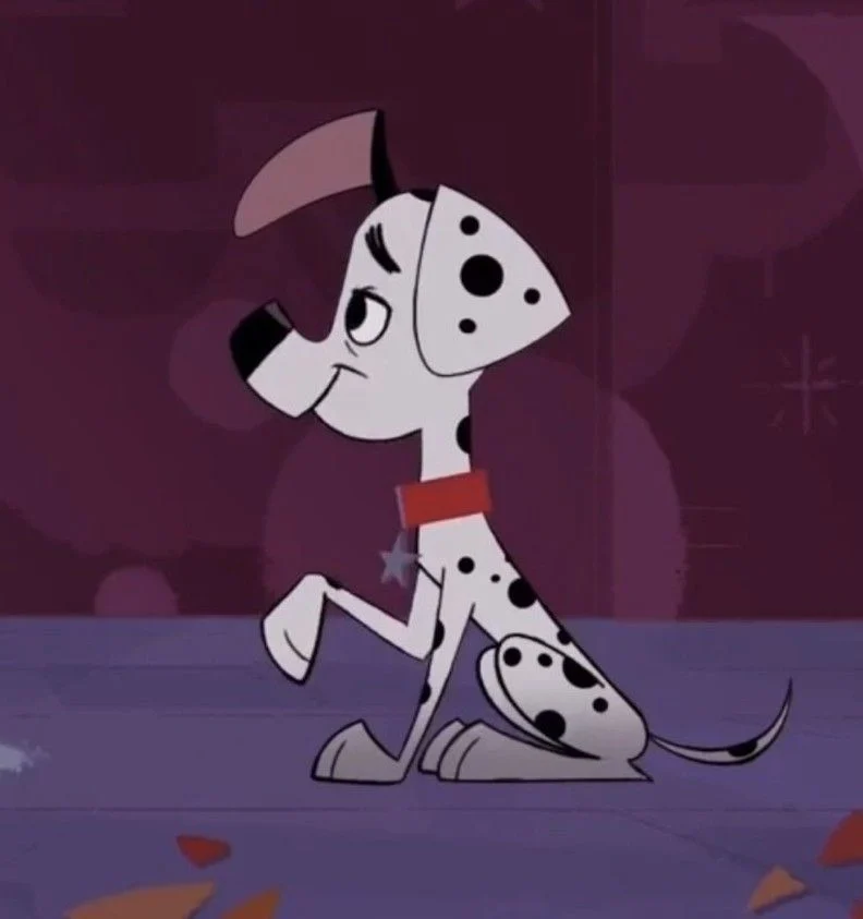 Dylan Dalmatian
