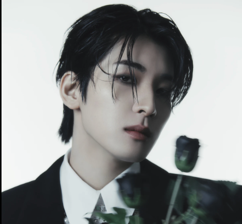 Jeon Wonwoo | Seventeen